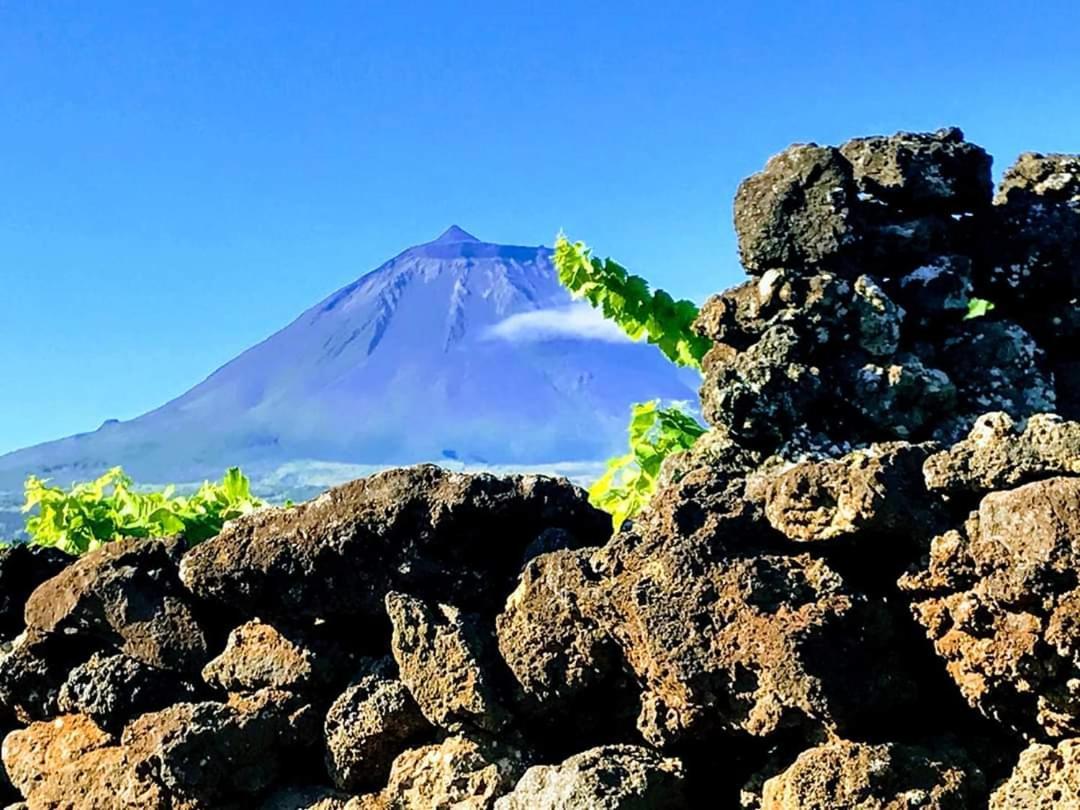 Baco'S Vineyard Lajido Exterior foto