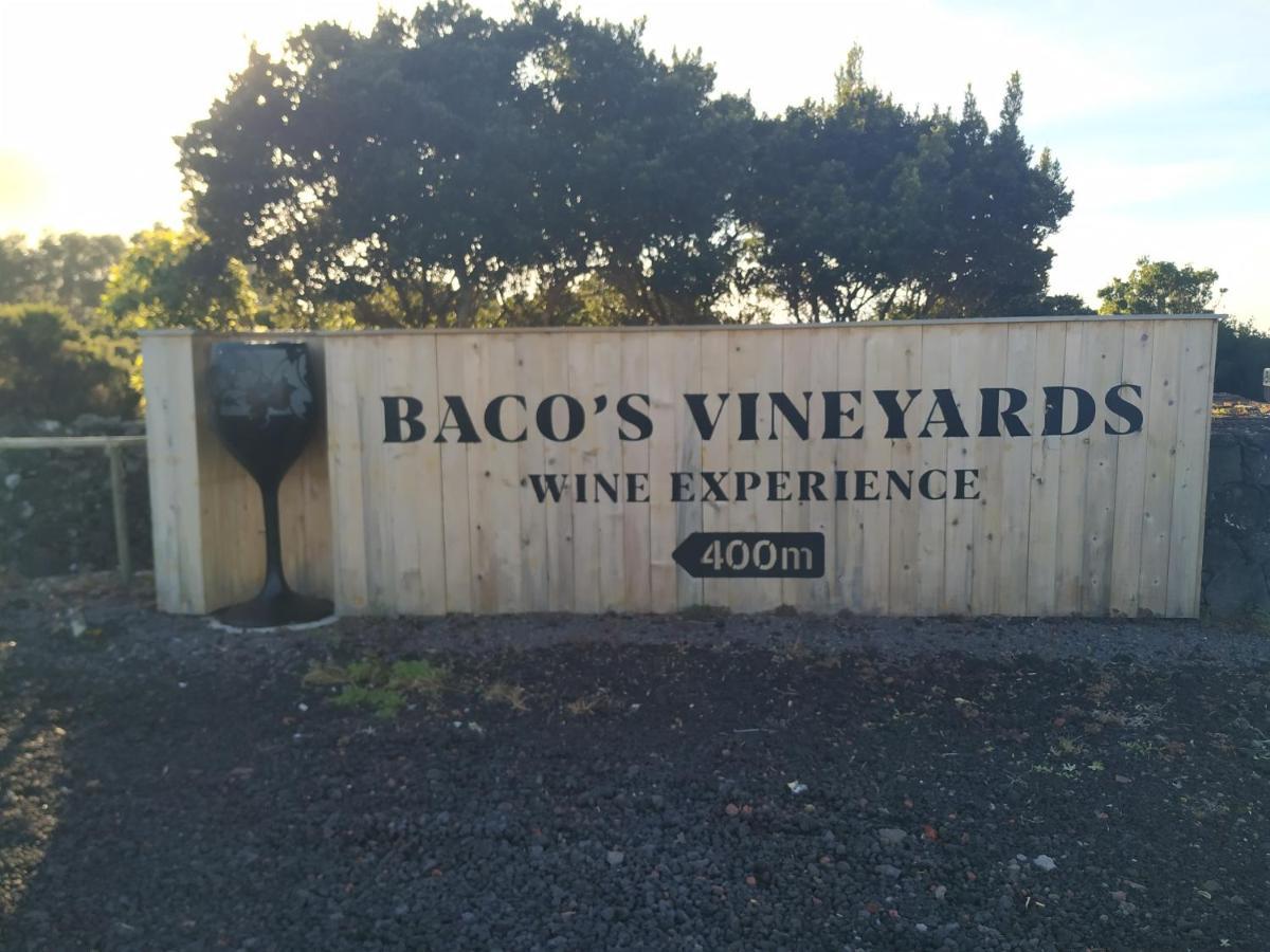 Baco'S Vineyard Lajido Exterior foto